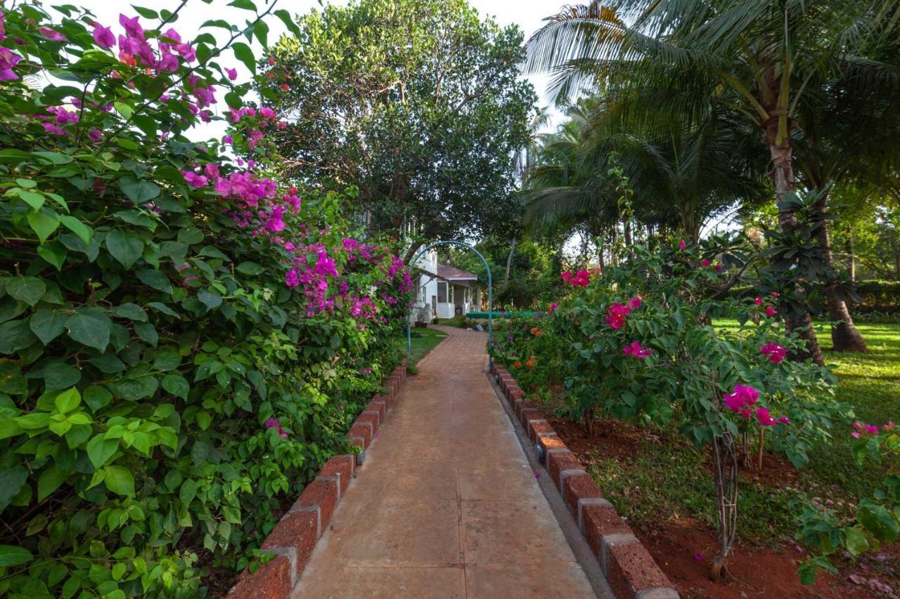 Hamptons Charm By Stayvista Luxury 5Br With Pool, Lawn & Table Tennis Alibag Exterior photo